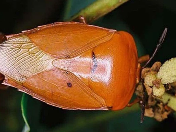 Ảnh bìa bài viết 777380