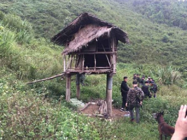 Ảnh bìa bài viết 778829