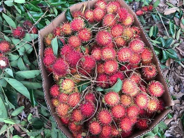 Ảnh bìa bài viết 779828