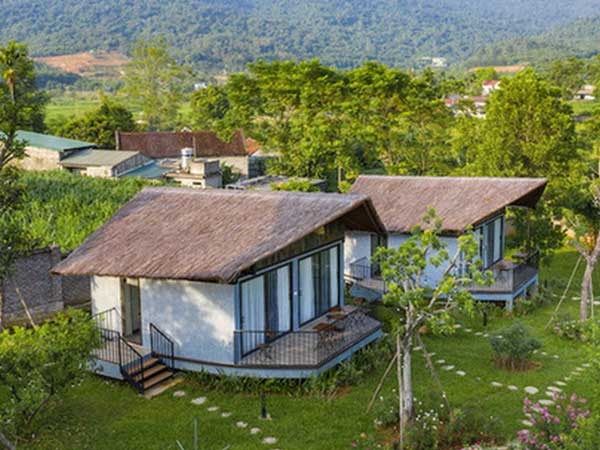 Ảnh bìa bài viết 781323