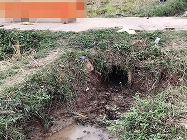 Ảnh bìa bài viết 782172