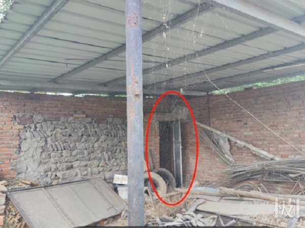 Ảnh bìa bài viết 782568