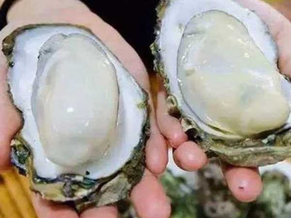Ảnh bìa bài viết 783274