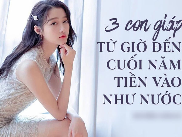 Ảnh bìa bài viết 783491