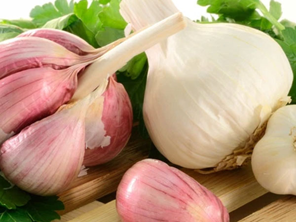 Ảnh bìa bài viết 783835