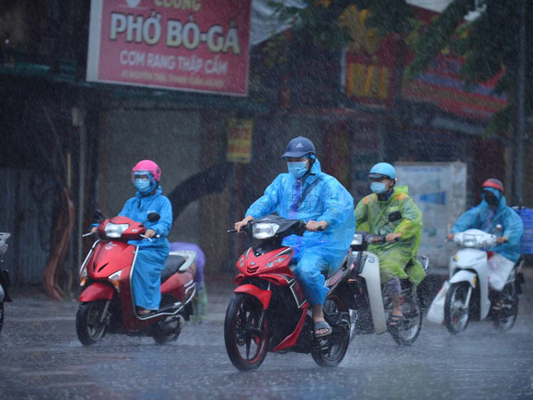 Ảnh bìa bài viết 784706