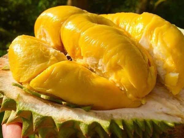 Ảnh bìa bài viết 784673