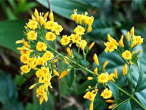 Ảnh bìa bài viết 785004