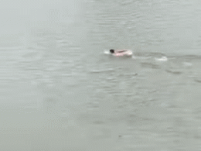 Ảnh bìa bài viết 785419