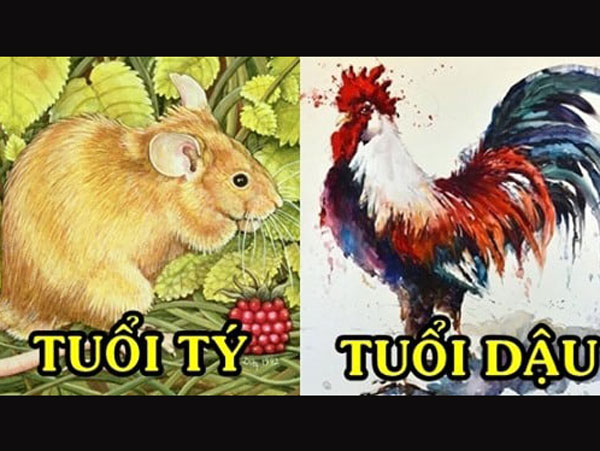 Ảnh bìa bài viết 786489
