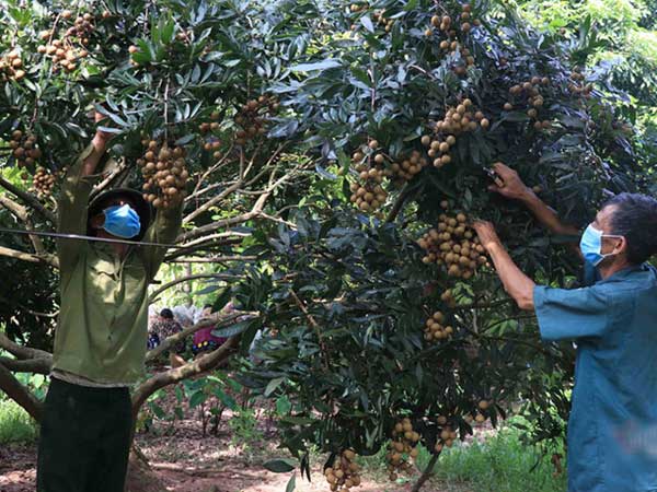 Ảnh bìa bài viết 787679