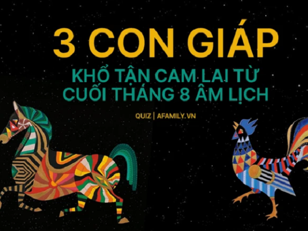Ảnh bìa bài viết 788869