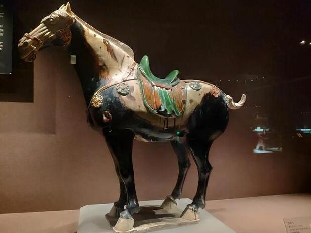 Ảnh bìa bài viết 790099