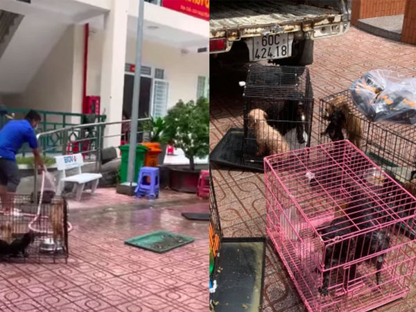 Ảnh bìa bài viết 790570