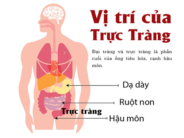 Ảnh bìa bài viết 790677