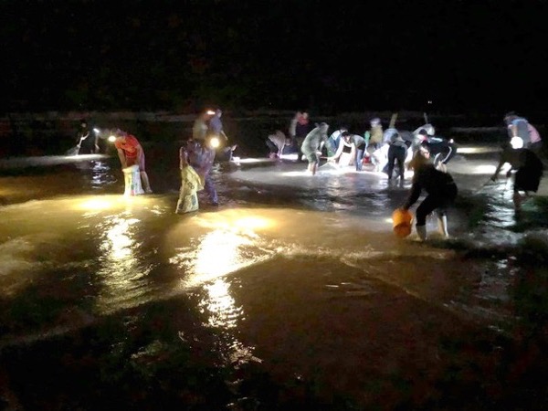 Ảnh bìa bài viết 791126