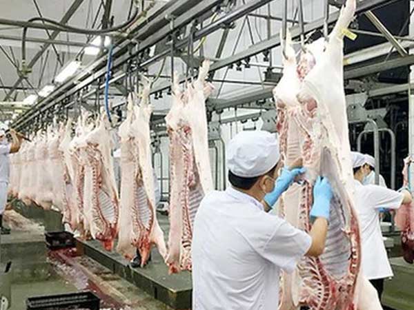 Ảnh bìa bài viết 792600