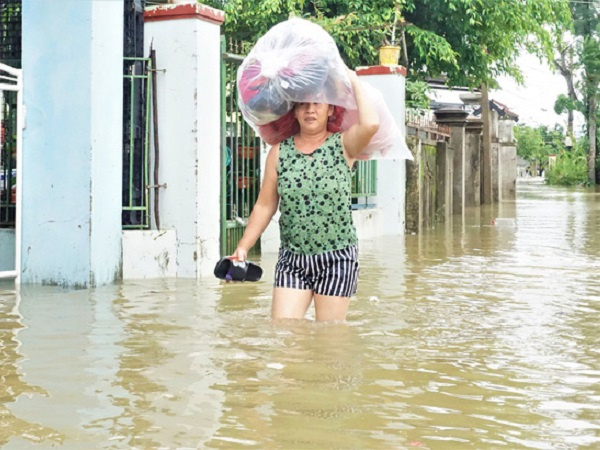 Ảnh bìa bài viết 792894