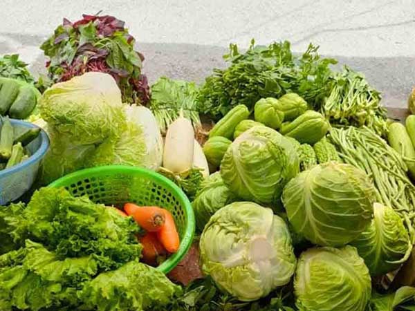Ảnh bìa bài viết 793149