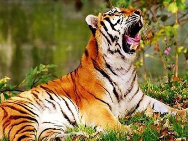 Ảnh bìa bài viết 793998