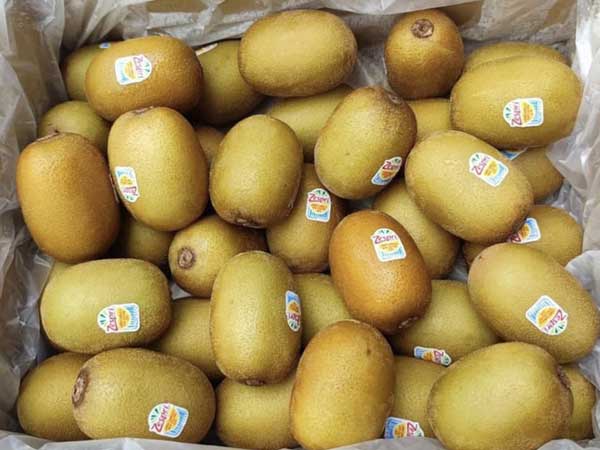 Ảnh bìa bài viết 794214