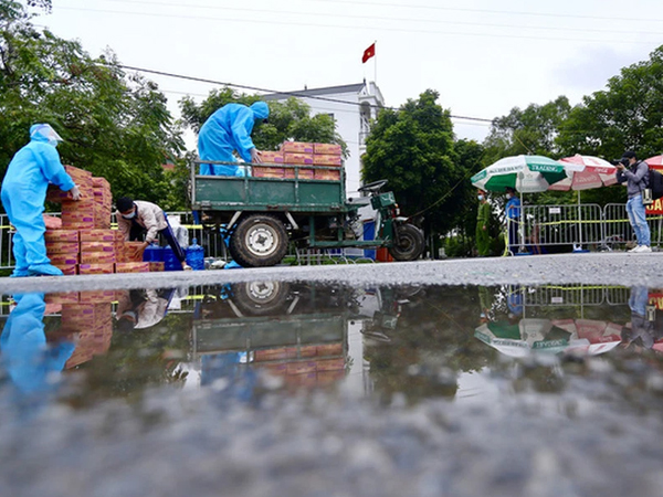 Ảnh bìa bài viết 794436