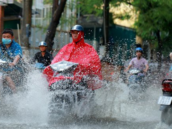 Ảnh bìa bài viết 794610