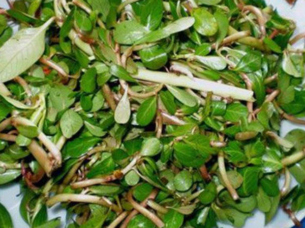 Ảnh bìa bài viết 795415