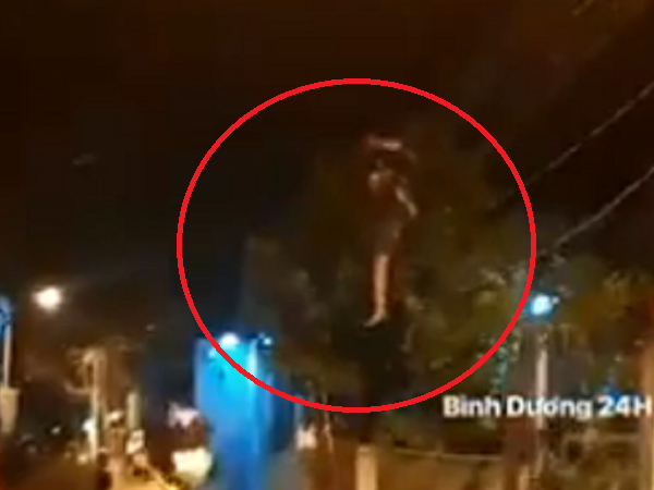 Ảnh bìa bài viết 795587