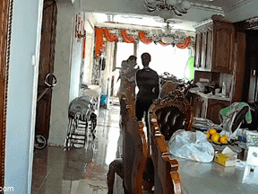 Ảnh bìa bài viết 795751