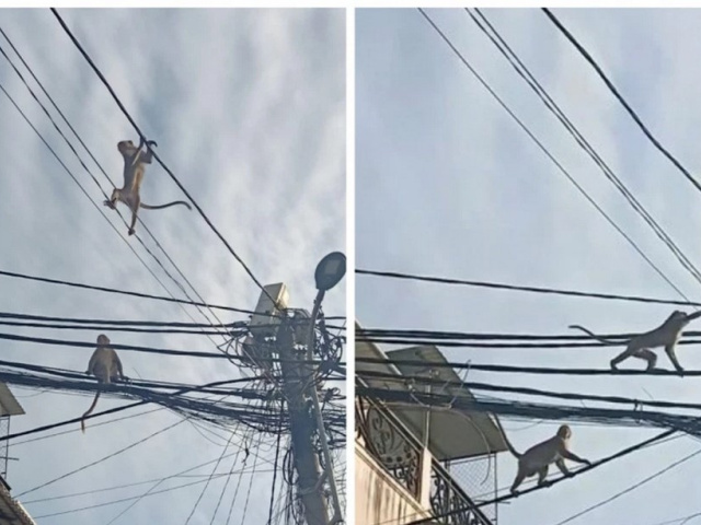 Ảnh bìa bài viết 796678