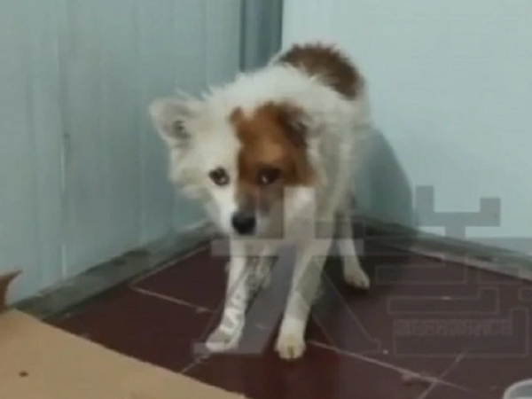 Ảnh bìa bài viết 796829