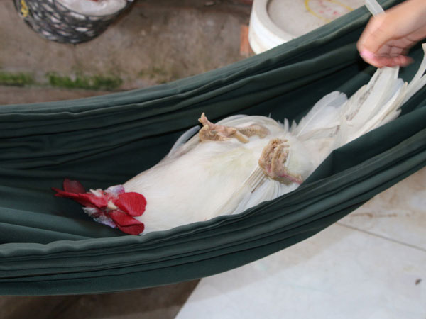 Ảnh bìa bài viết 796844