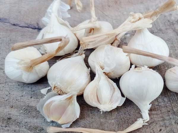 Ảnh bìa bài viết 796941