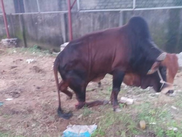 Ảnh bìa bài viết 796968