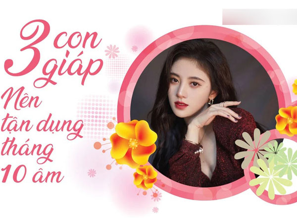 Ảnh bìa bài viết 797143