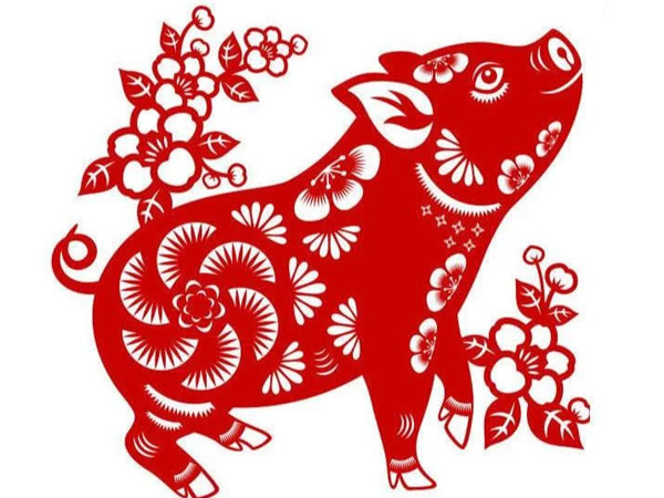 Ảnh bìa bài viết 797953