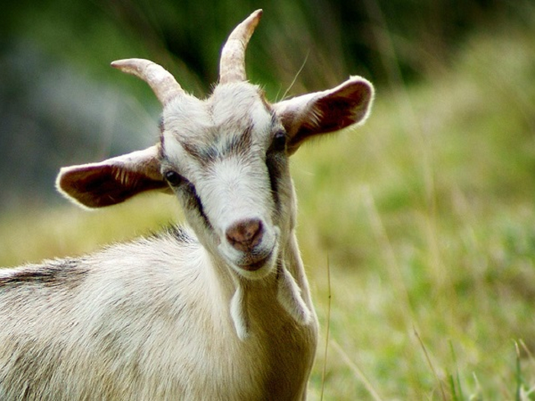 Ảnh bìa bài viết 800713