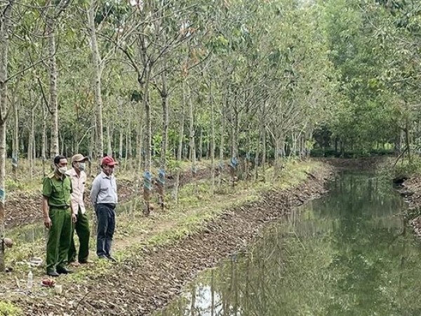 Ảnh bìa bài viết 801474