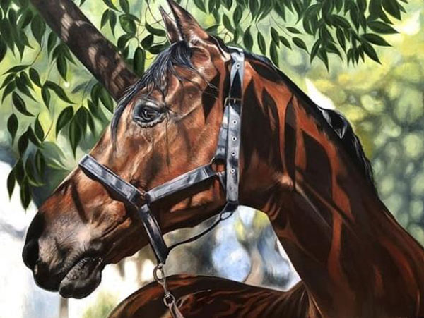 Ảnh bìa bài viết 802440