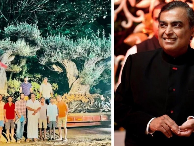 Ảnh bìa bài viết 802430