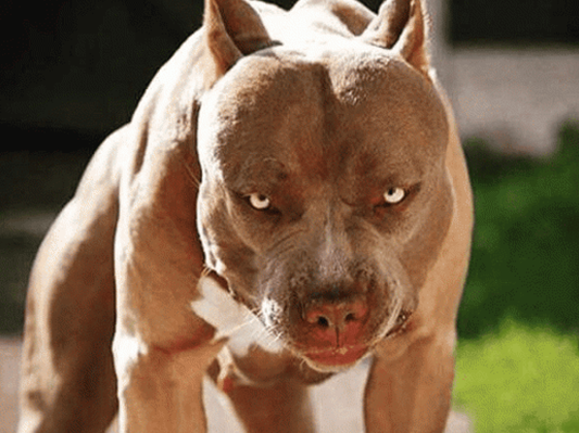 Ảnh bìa bài viết 803167