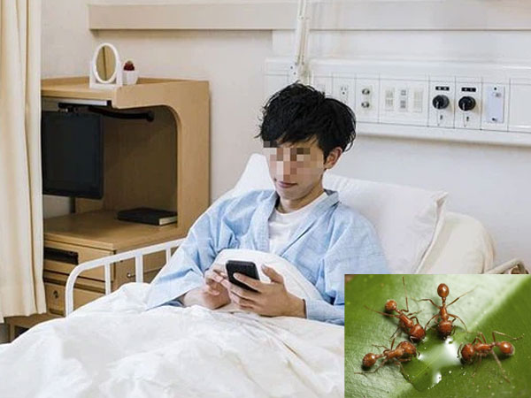 Ảnh bìa bài viết 803132