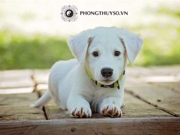 Ảnh bìa bài viết 803467