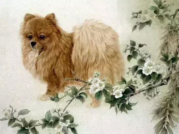 Ảnh bìa bài viết 804897