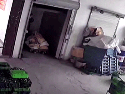 Ảnh bìa bài viết 805234