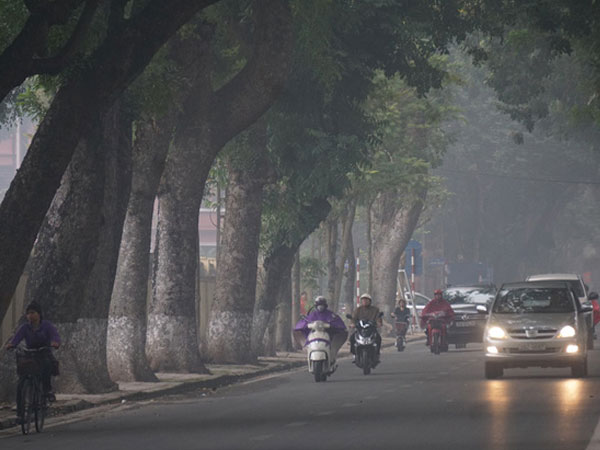 Ảnh bìa bài viết 805637