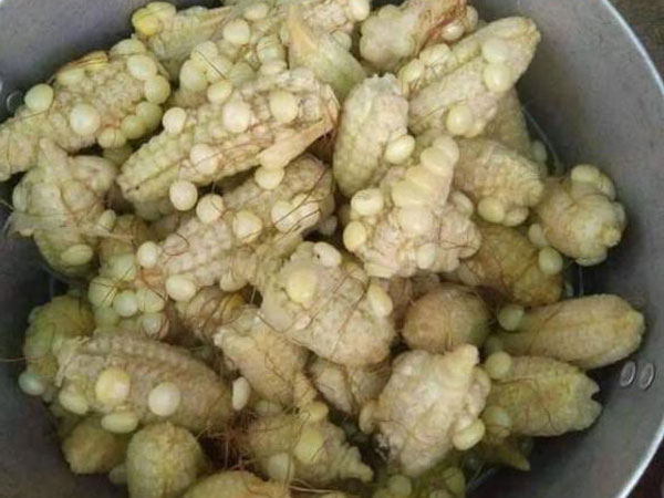 Ảnh bìa bài viết 806274