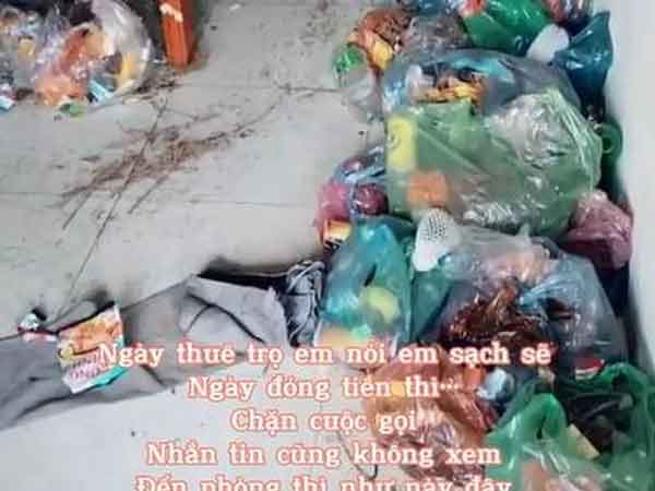 Ảnh bìa bài viết 806391