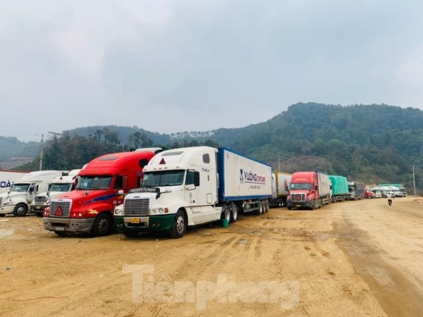 Ảnh bìa bài viết 806722